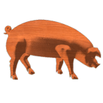 Pig25x4 1