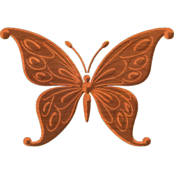 Butterfly-05