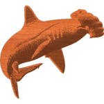 Hammer Head Shark
