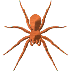Spider-05