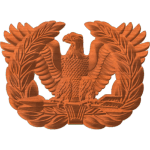 WARRANT OFFICIER