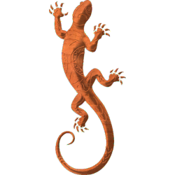 Gecko-01
