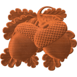 ACORN 4