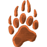 BearTrack01
