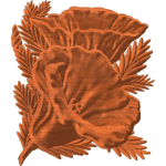 CALIFORNIA POPPY