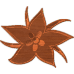 Flower 1