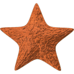Sea star Starfish