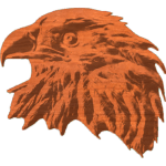 Bald Eagle head