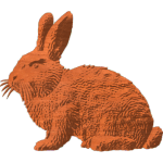 Rabbit Pattern