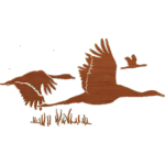 Goose Silhouette