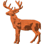 Buck_37x43_1