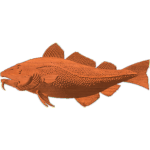 CODFISH