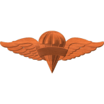 Rigger Wings with No Text
