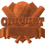 TEAM CRICKET