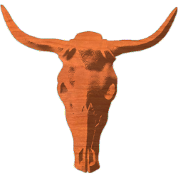 SteerSkull49x46_1
