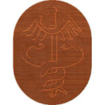 Army Medical Corp 002