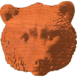 BearHead