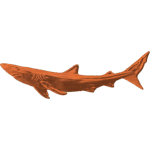 BLUE SHARK