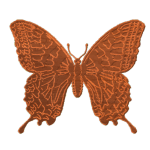 Butterfly 02
