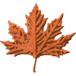 Maple_Leaf_6x55