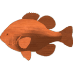 Blue Gill
