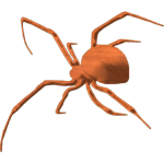 Spider-03