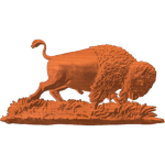 BUFFALO 03