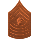 Master Gunnery Sergeant E9 Rank