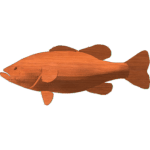 Black Bass