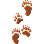 BearTrack02