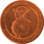 Air Force Security Forces Pattern