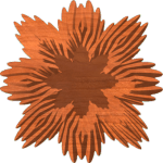 Ring of Fire Centerpiece or Frame 009 A
