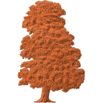 CHESTNUT TREE