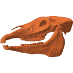 Horse Skull
