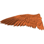 Hawk Wing
