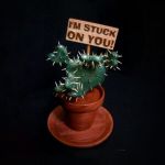 Stuck On You