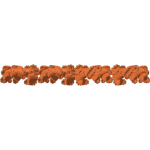 ACOORN CLUSTER