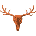 Jackalop skull