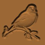 Bird on Branch