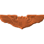 AF Basic Pilot Badge