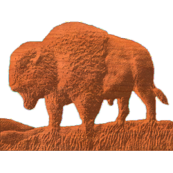 Buffalo Silhouette