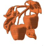 AppleTree