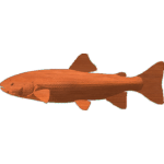 Trout Pattern