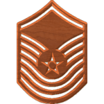 Air Force Insignia