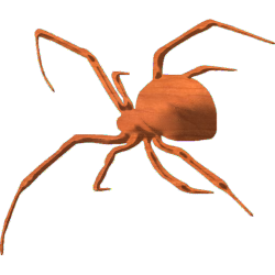Spider-03
