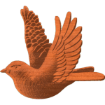 Robin In Flight Pattern