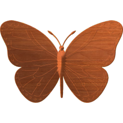 Butterfly-01