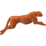 Cat02