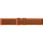 Trunk Strap and Buckle