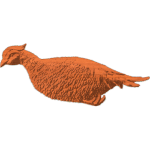 A Pheasant